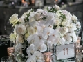 phalaenopsis-orchids-centrepieces